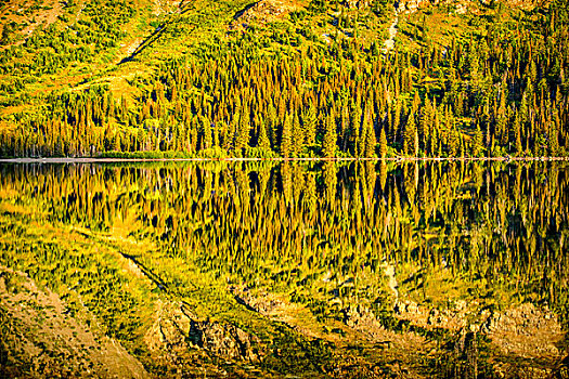 两个,药湖,反射,冰川国家公园,蒙大拿,大幅,尺寸