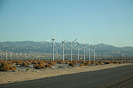 风电场,棕榈泉