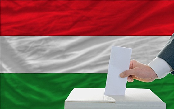 男人,投票,选举,匈牙利,正面,旗帜