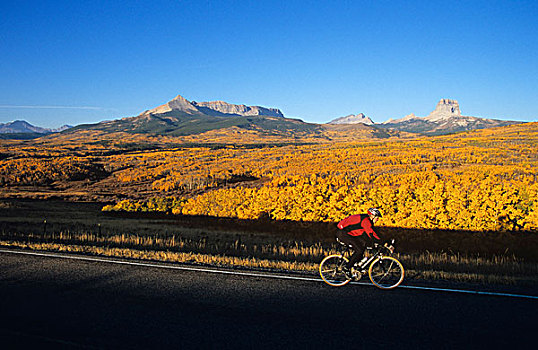道路,骑自行车,首领,山路,靠近,冰川国家公园,蒙大拿,美国,肖像权