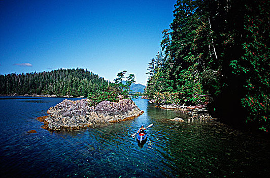 声音,皮划艇手,短桨,岛屿,温哥华岛,不列颠哥伦比亚省,加拿大