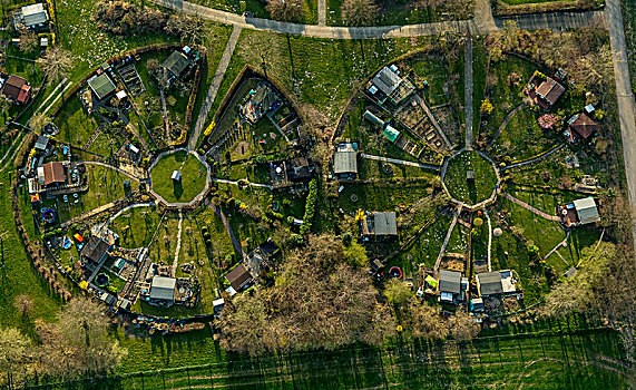 小块菜地,花园,圆形,安放,鲁尔区,北莱茵威斯特伐利亚,德国