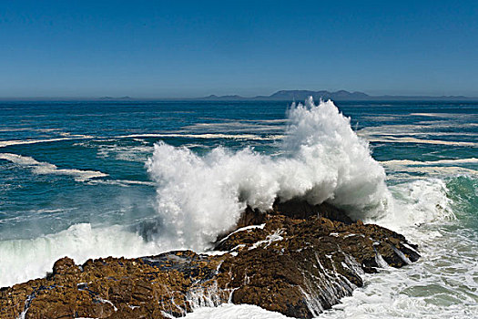 石头,海浪,背影,桌山,西海角,南非,非洲