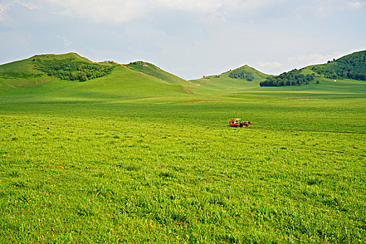 草原,牧场,绿草,旷野,云雾,云海