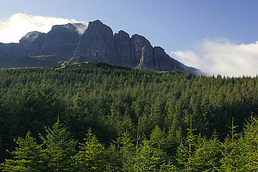 苏格兰,斯凯岛,背景,岩石构造,后面,林业,树林