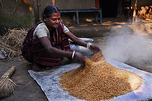 女人,熟食,稻田,院落,家,孟加拉,十一月,2006年