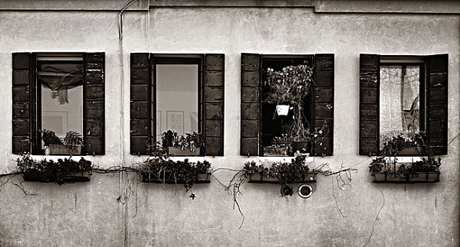 特写,窗户,古建筑,威尼斯,意大利