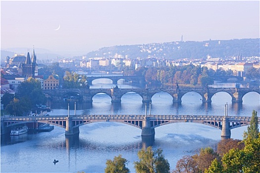 捷克共和国,布拉格,桥,上方,伏尔塔瓦河,晨光