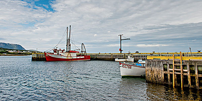 渔船,码头,岩石,港口,格罗莫讷国家公园,纽芬兰,拉布拉多犬,加拿大