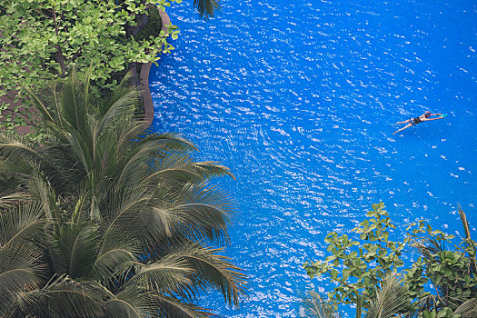 椰树和蓝色的游泳池,一位亚洲女性在游泳