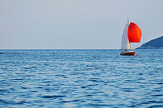 奢华,船,海上,暑假