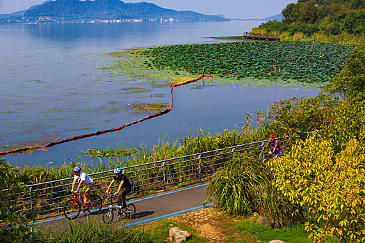 东钱湖,环湖,生态,骑行,运动,自行车,水岸,蓝天,阳光,俯视