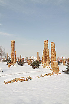 木化石雪景