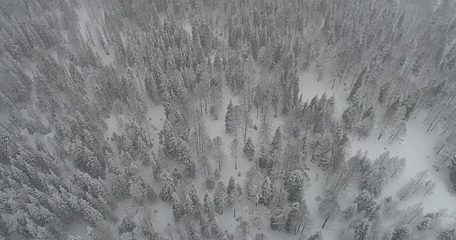 航拍大雪纷飞的东天山