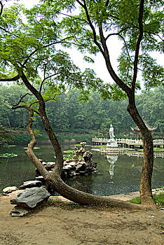 佛教寺庙,靠近,南京,中国