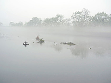 雾中的丰乐河