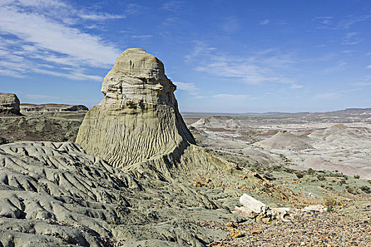 石化,树林,国家纪念建筑,阿根廷,南美