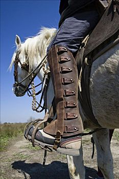 马靴,监护,法国南部,欧洲