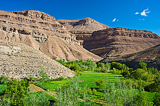 特色,风景,山谷,河,地点,高,山,山脉,摩洛哥,非洲