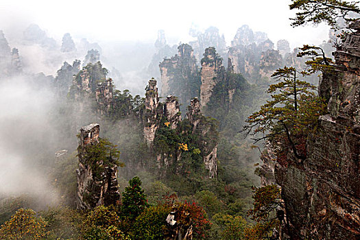 湖南张家界武陵源,天子山,天子山峰群