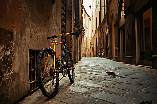 卢卡,街道,风景,自行车,意大利