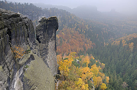 秋天,砂岩,山峦,萨克森,德国,欧洲