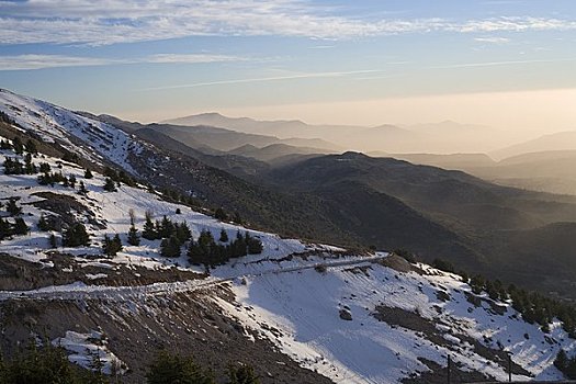 雪松,自然保护区,黎巴嫩
