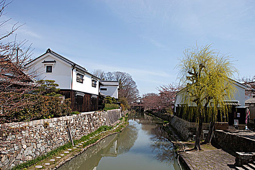 运河,城镇,滋贺,日本