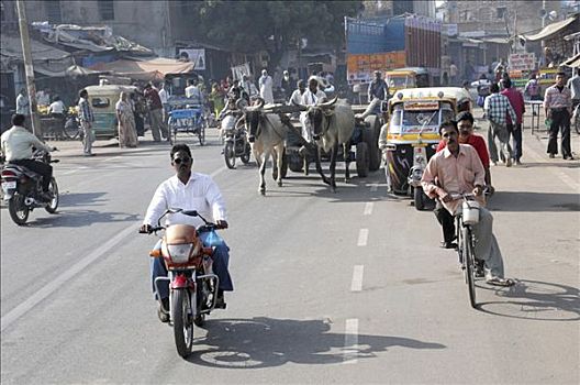 交通,主要街道,拉贾斯坦邦,北印度,亚洲