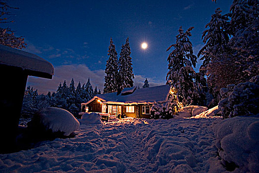 房子,冬天,风景,夜晚,温哥华岛,不列颠哥伦比亚省,加拿大