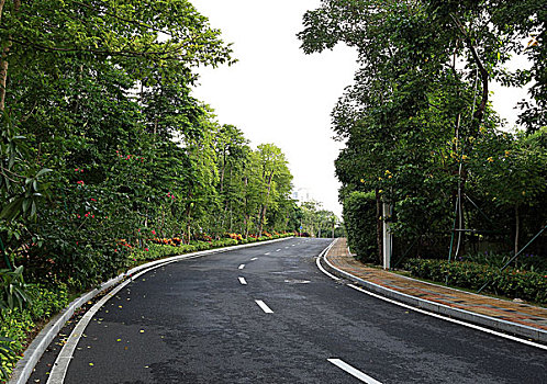 美丽的园林道路