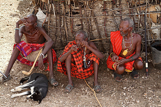男人,部落,肯尼亚