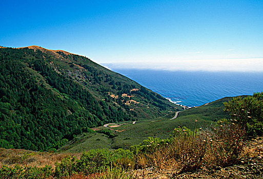 山坡,海洋,远景