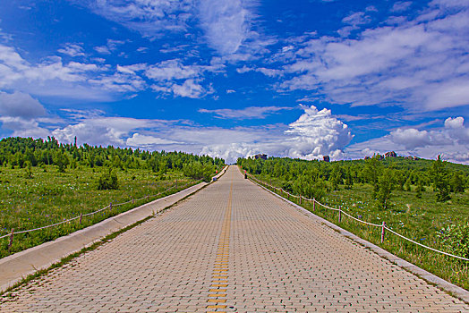 道路