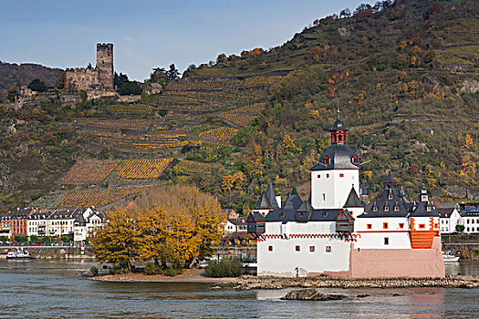 德国,城堡,14世纪,莱茵河,河