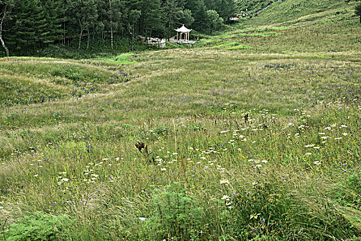 河北省石家庄市平山县驼梁风景区