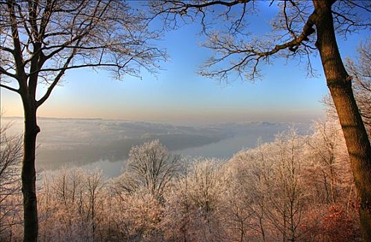霜冻,冬季风景,湖,埃森,北莱茵威斯特伐利亚,德国,欧洲