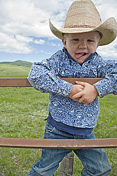 男孩,2007年,牧场,烙印,靠近,蒙大拿