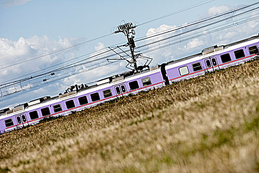 列车,乡村,瑞典