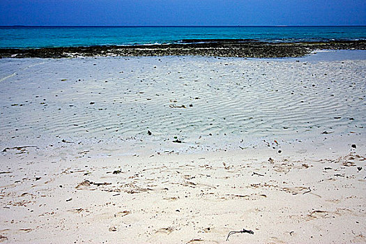 海滩,沙子,堤岸,坦桑尼亚