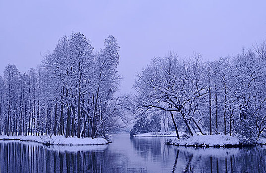 雪景