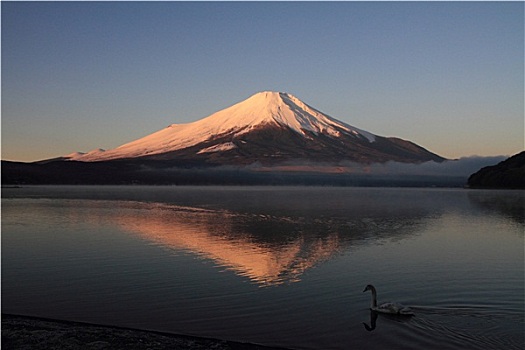 红色,富士山,山,湖