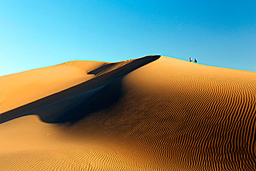 摩洛哥,德拉河谷,沙丘,日出,上方,旅游,攀登