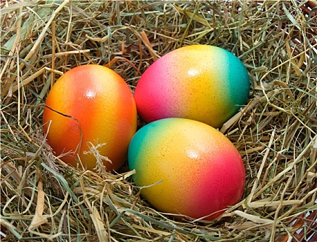 彩色,复活节彩蛋,鸟窝,隔绝