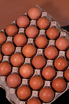 鸡蛋和鸡蛋黄