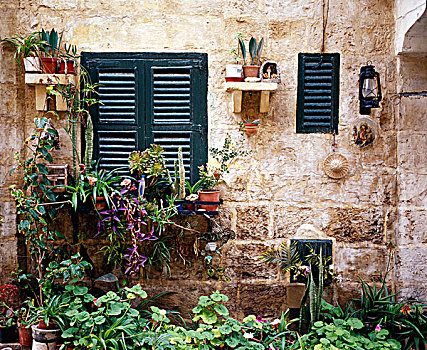 植物,户外,房子,森格莱阿,马耳他,欧洲