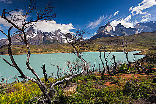 智利,麦哲伦省,区域,托雷德裴恩国家公园,拉哥裴赫湖,风景,损坏