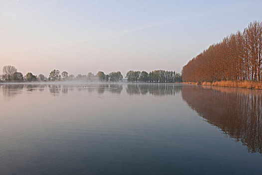 水塘,自然保护区,图林根州,德国,欧洲