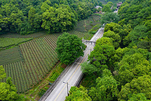 杭州西湖梅家坞梅灵路隧道航拍