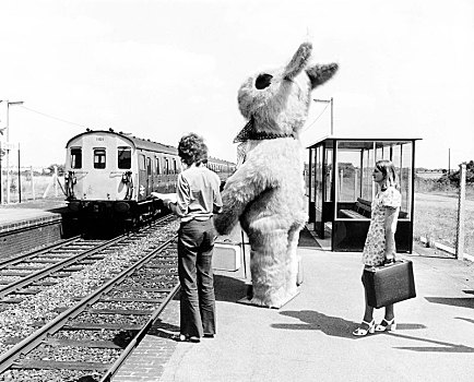 大,兔子,乘客,站台,火车站,英格兰,英国